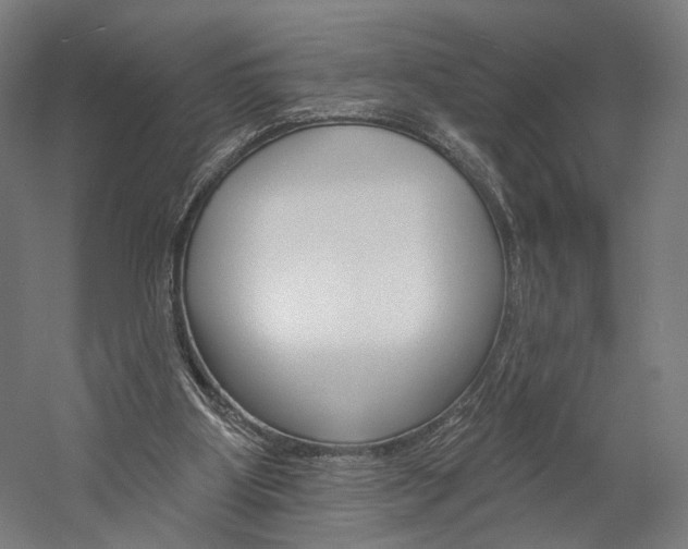 X0000060220107200510280922