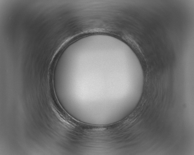X0000060220108200510280922