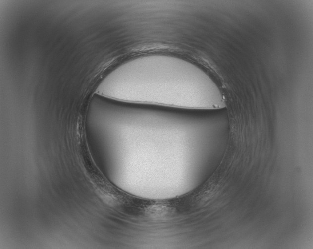 X0000060220119200510280921