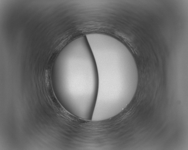 X0000060220121200510280921