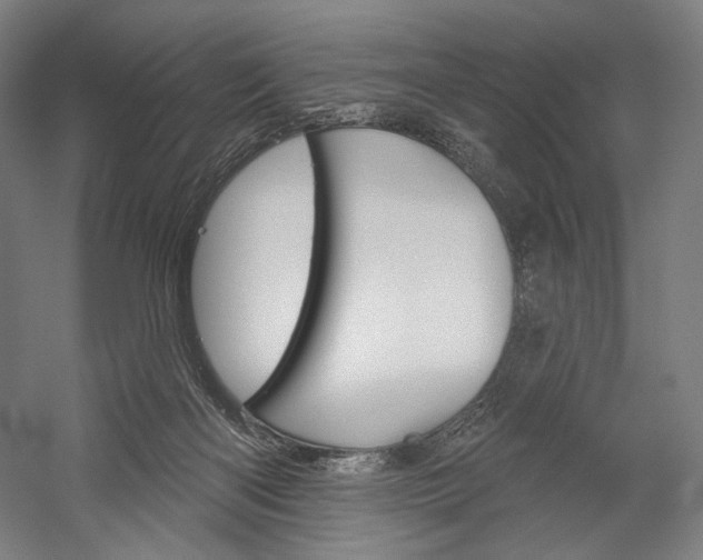 X0000060220122200510280921