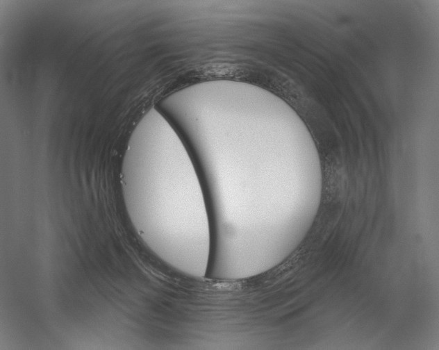 X0000060220126200510280921