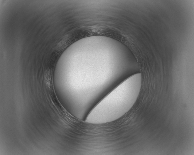 X0000060220129200510280921