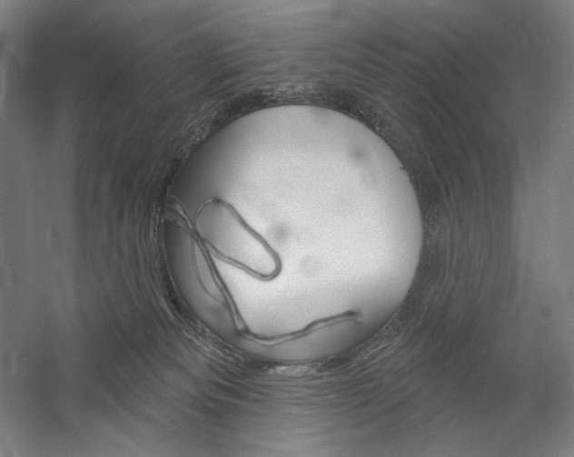X0000060220133200510280921
