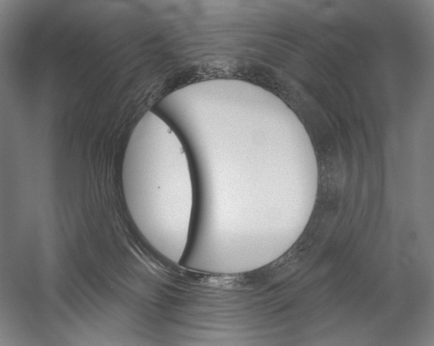 X0000060220134200510280921