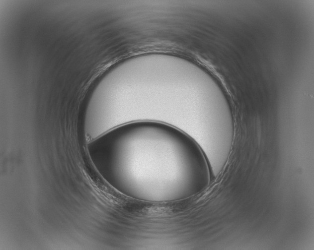 X0000060220154200510280920