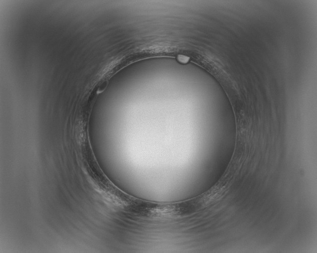 X0000060220164200510280921