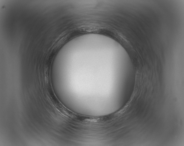 X0000060220170200510280921