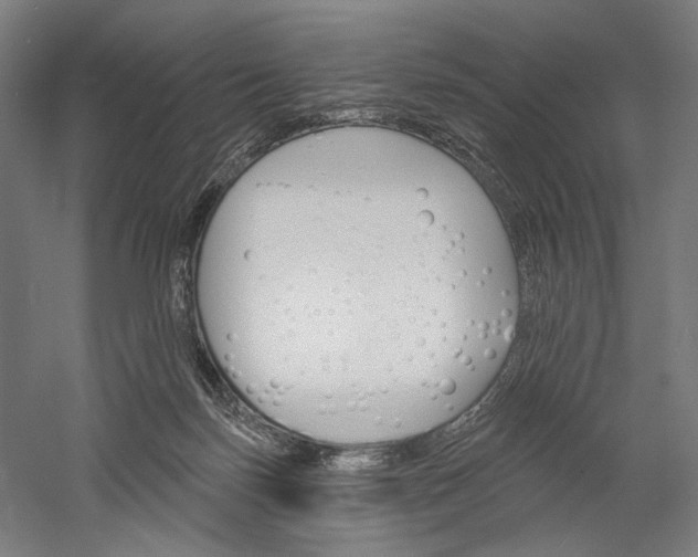 X0000060220171200510280921