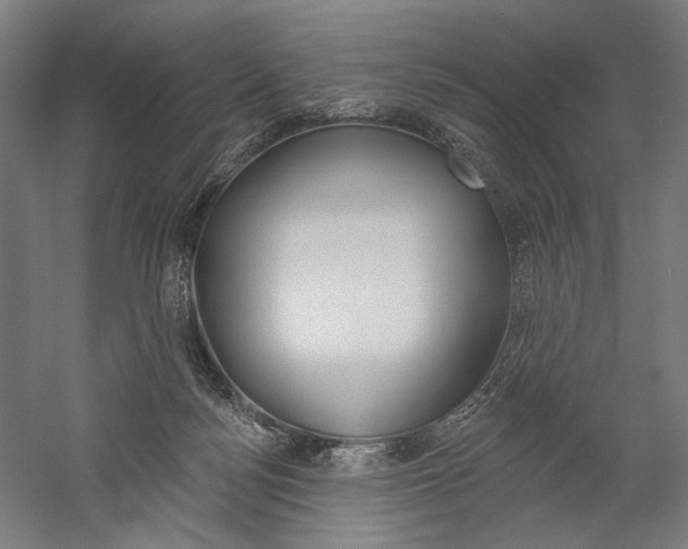 X0000060220172200510280921