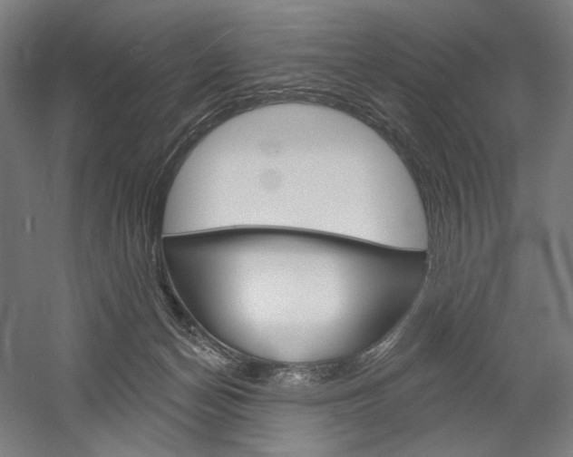 X0000060220174200510280921