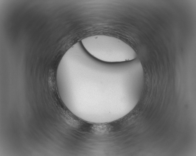 X0000060220181200510280921