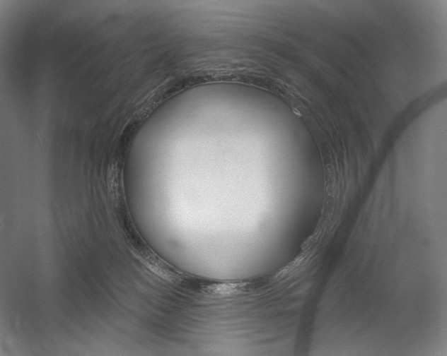 X0000060220184200510280921