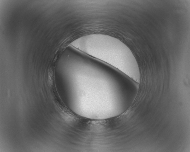 X0000060220188200510280921