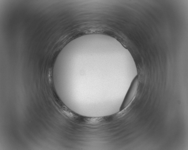 X0000060220191200510280921