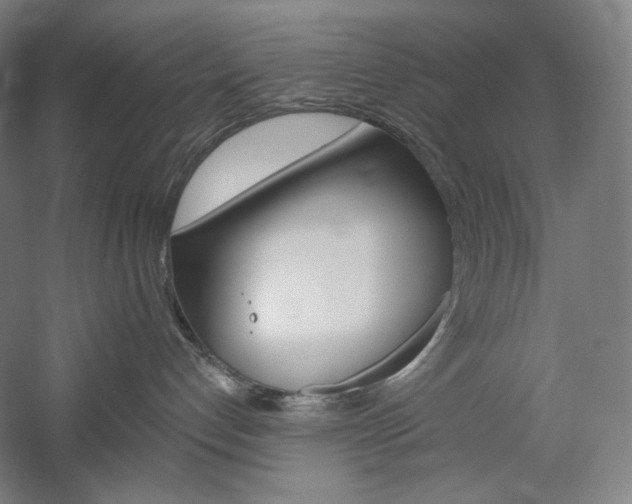 X0000060220192200510280921