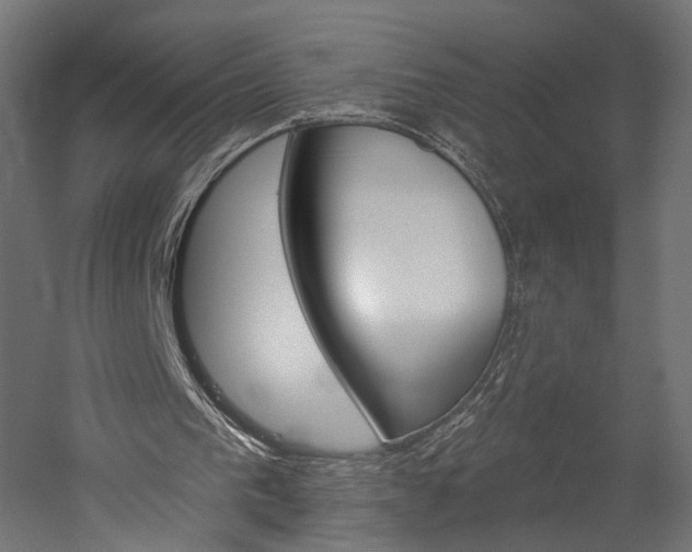 X0000060220193200510280920