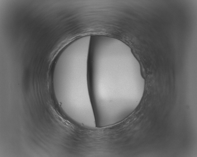 X0000060220194200510280920