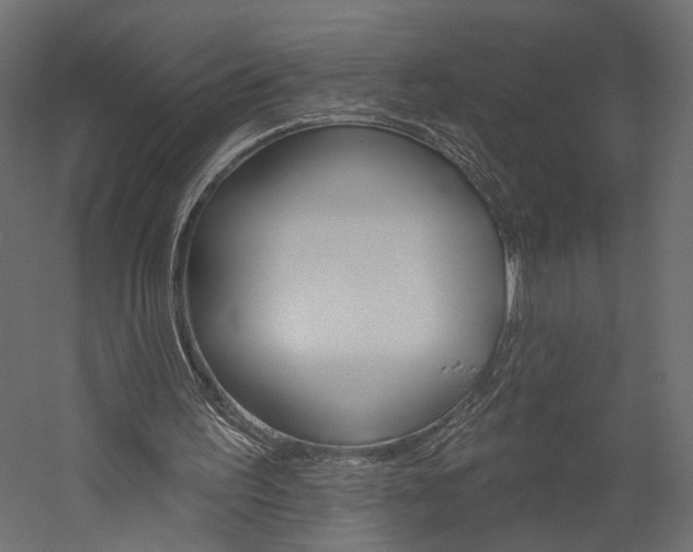 X0000060220195200510280920