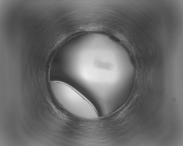 X0000060220201200510280920