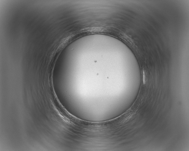 X0000060220205200510280920