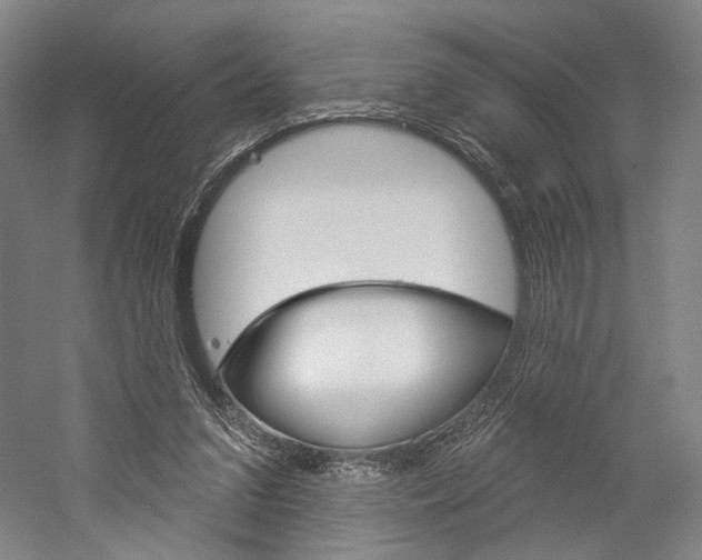 X0000060220207200510280920