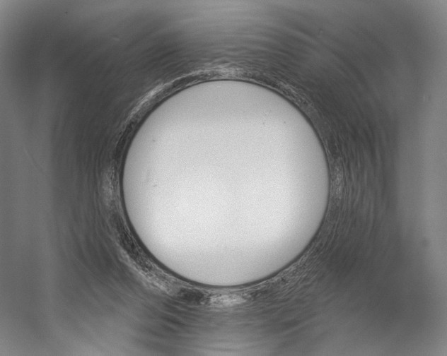 X0000060220208200510280920