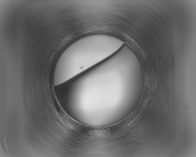 X0000060220209200510280920