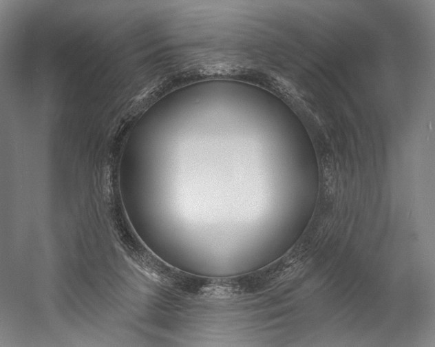 X0000060220211200510280920