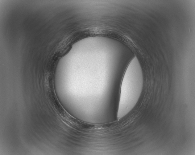 X0000060220217200510280920