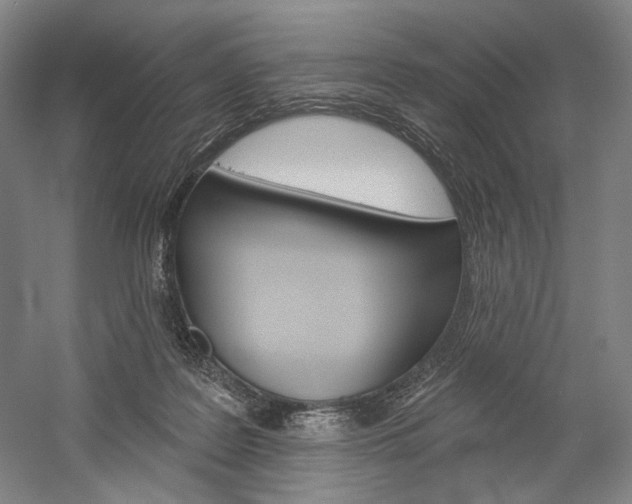 X0000060220219200510280920