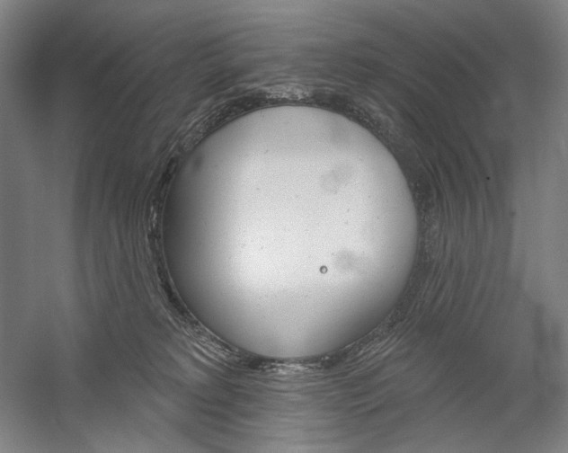 X0000060220229200510280920