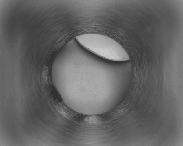 X0000060220231200510280920