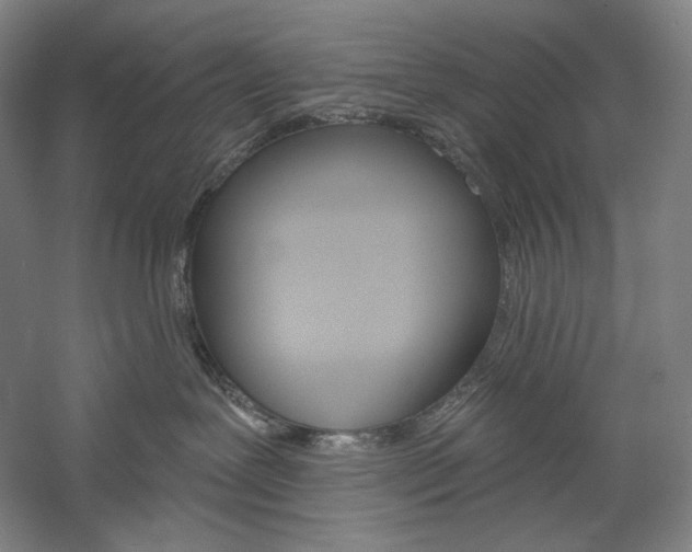 X0000060220239200510280919