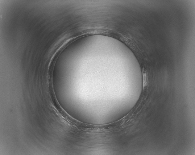 X0000060220243200510280919