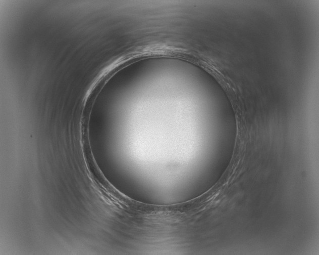 X0000060220244200510280919
