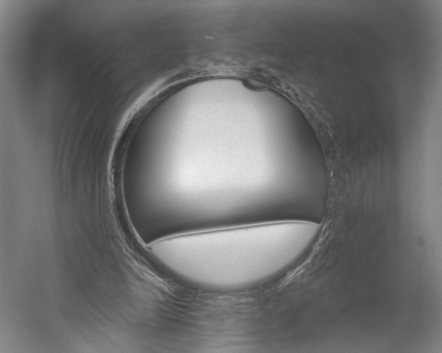 X0000060220246200510280919