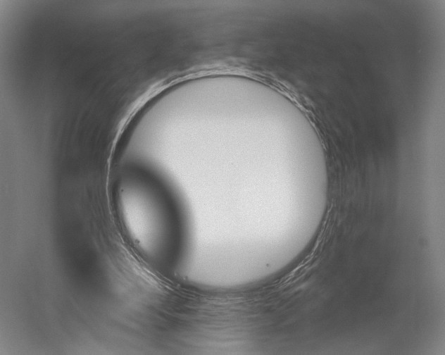 X0000060220248200510280919