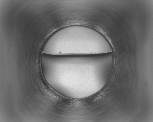 X0000060220249200510280919