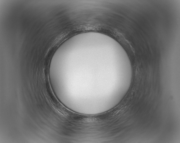 X0000060220250200510280919