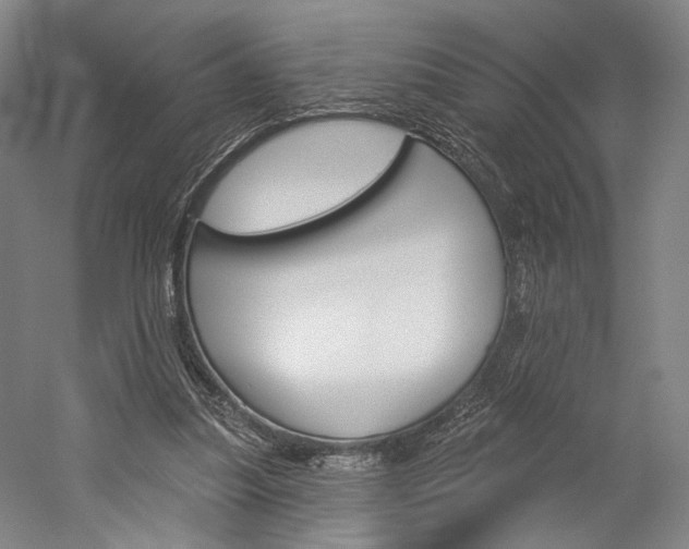 X0000060220251200510280919