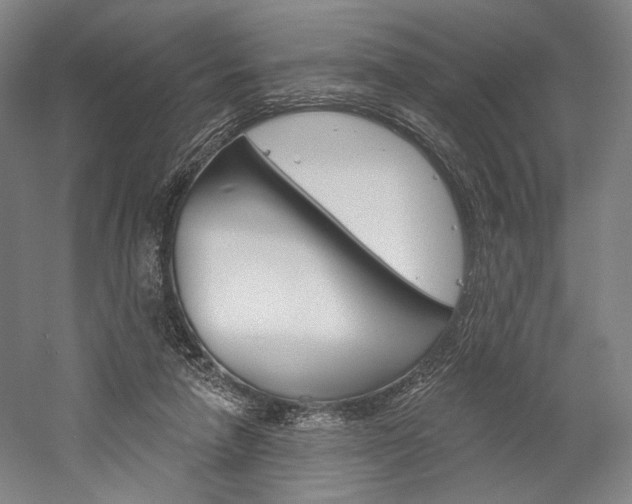 X0000060220258200510280919