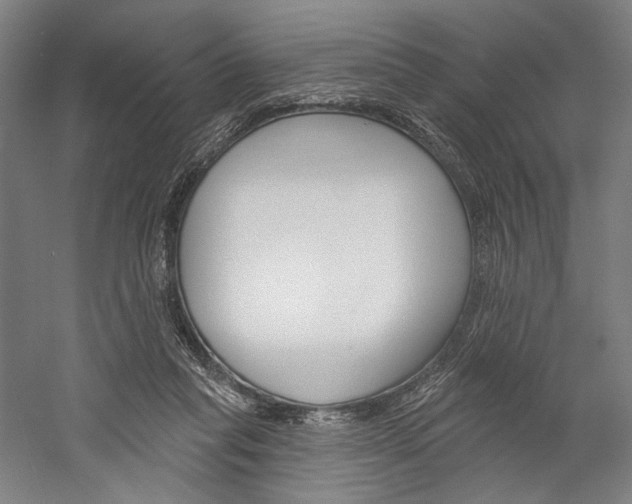 X0000060220261200510280919