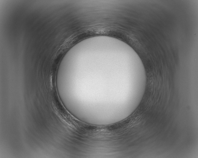 X0000060220262200510280919