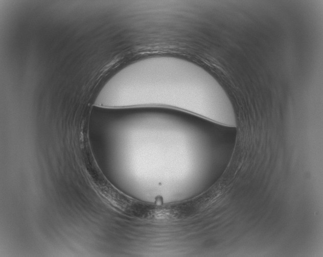X0000060220264200510280919