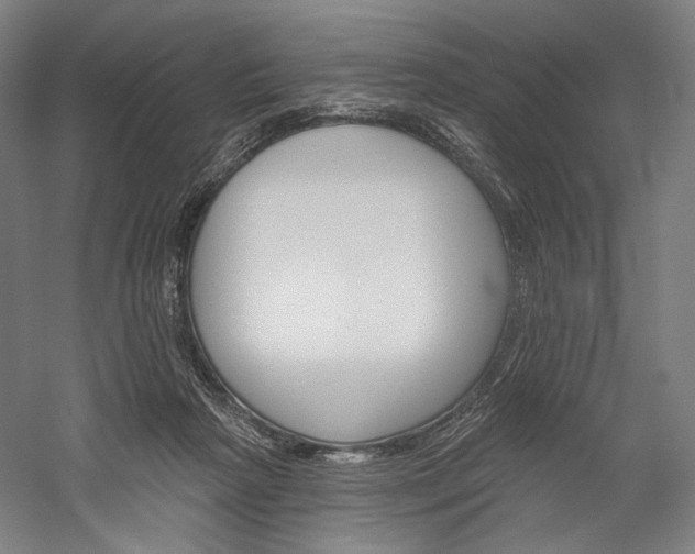 X0000060220265200510280919