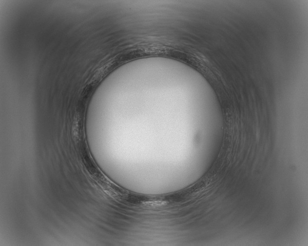 X0000060220266200510280919