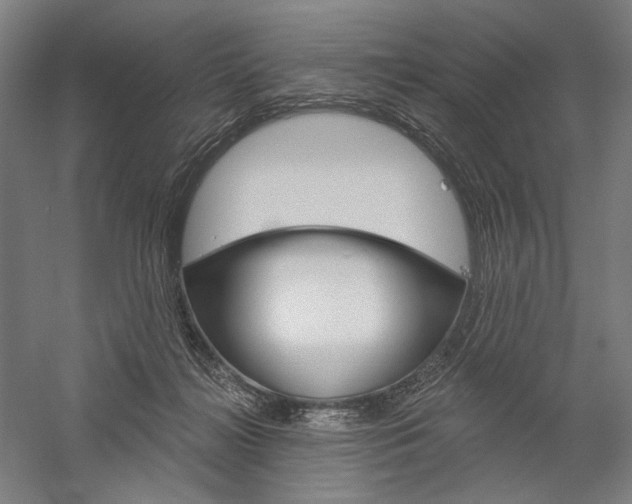 X0000060220268200510280919