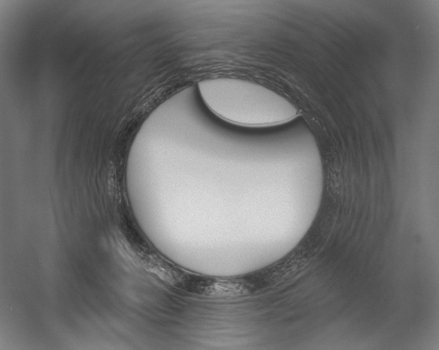 X0000060220270200510280919