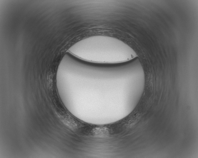 X0000060220271200510280919